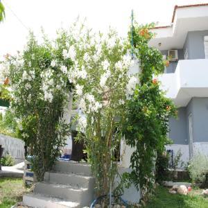 Karmik Concept Apartments Afantou Exterior photo
